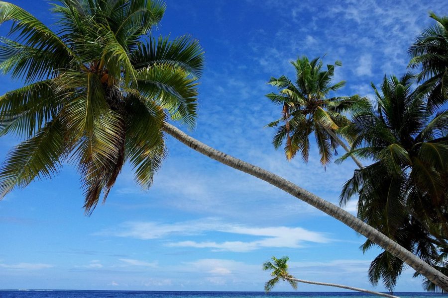 Maldivi